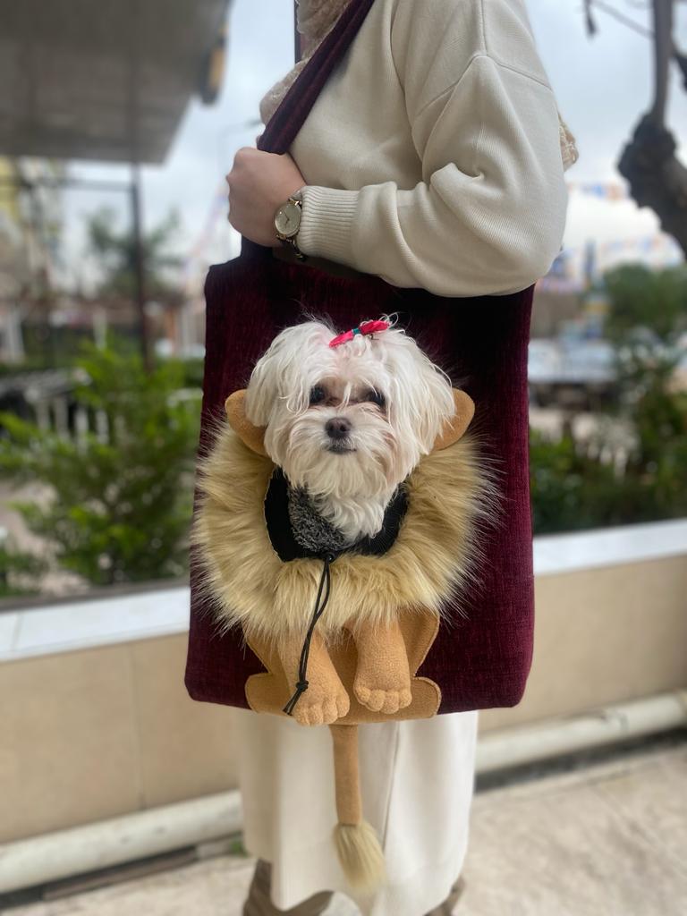 Müdür - Müdür Pet Aslan Model Omuz Çantası Vişne